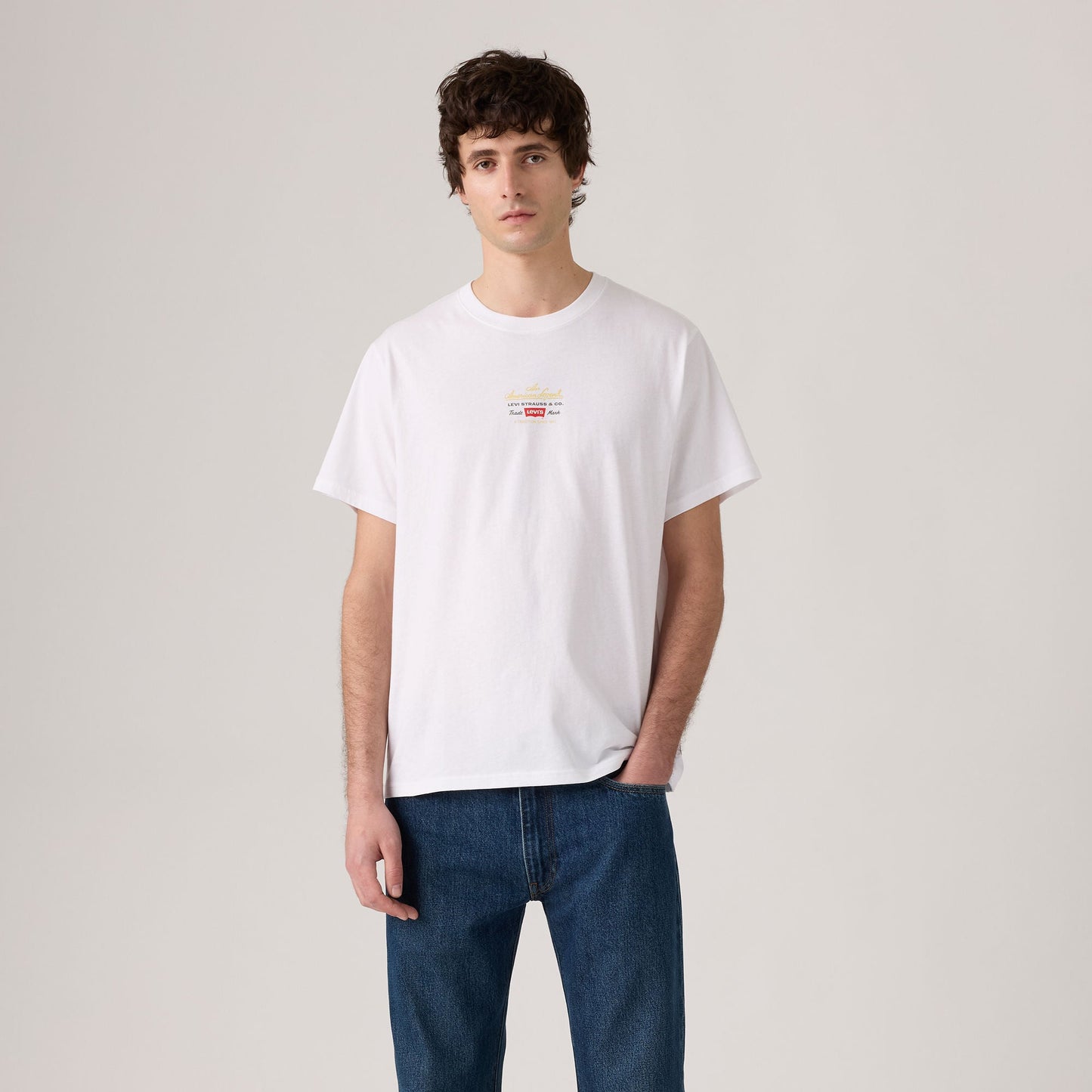 Levi's® Men's Relaxed Short Sleeve Graphic T-Shirt