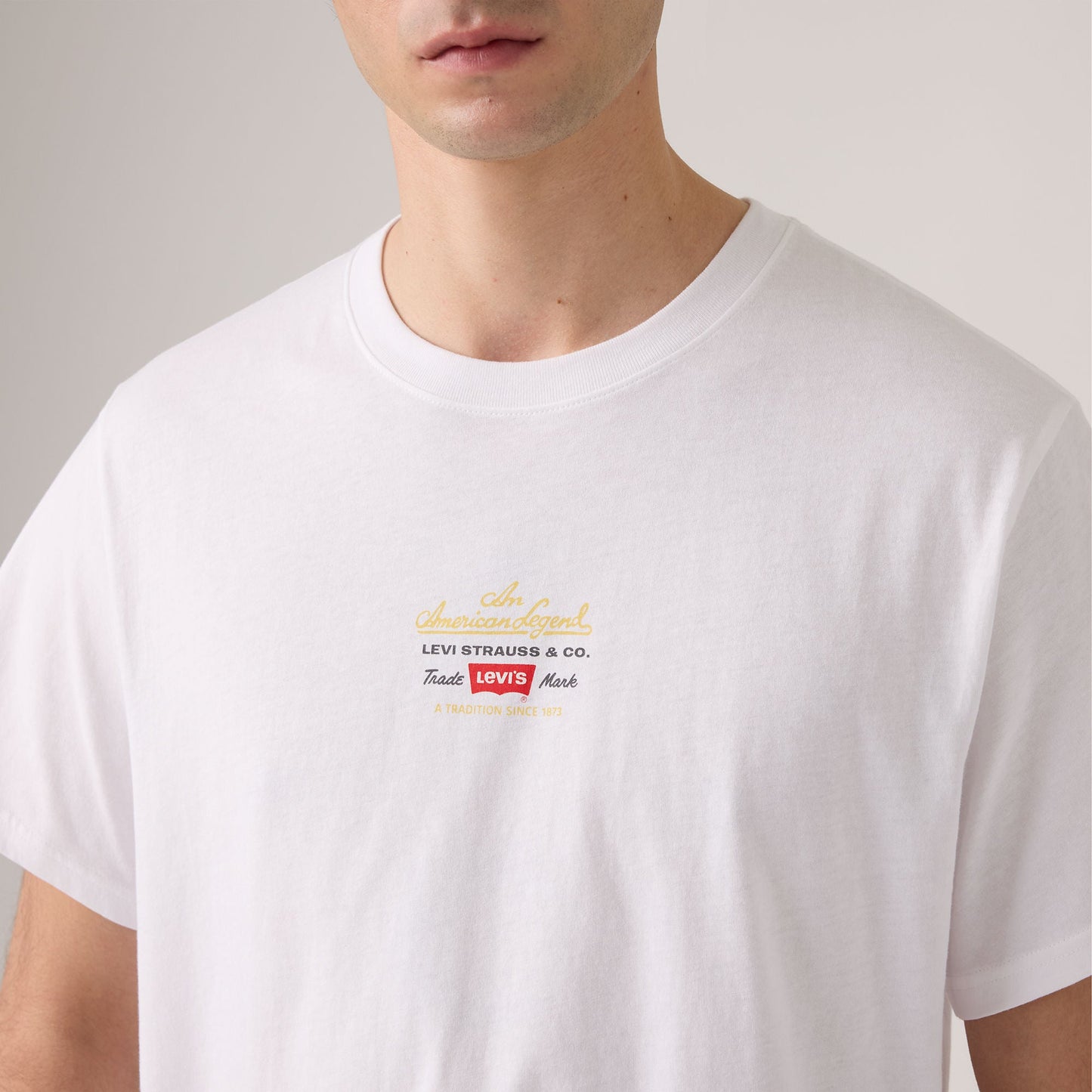 Levi's® Men's Relaxed Short Sleeve Graphic T-Shirt