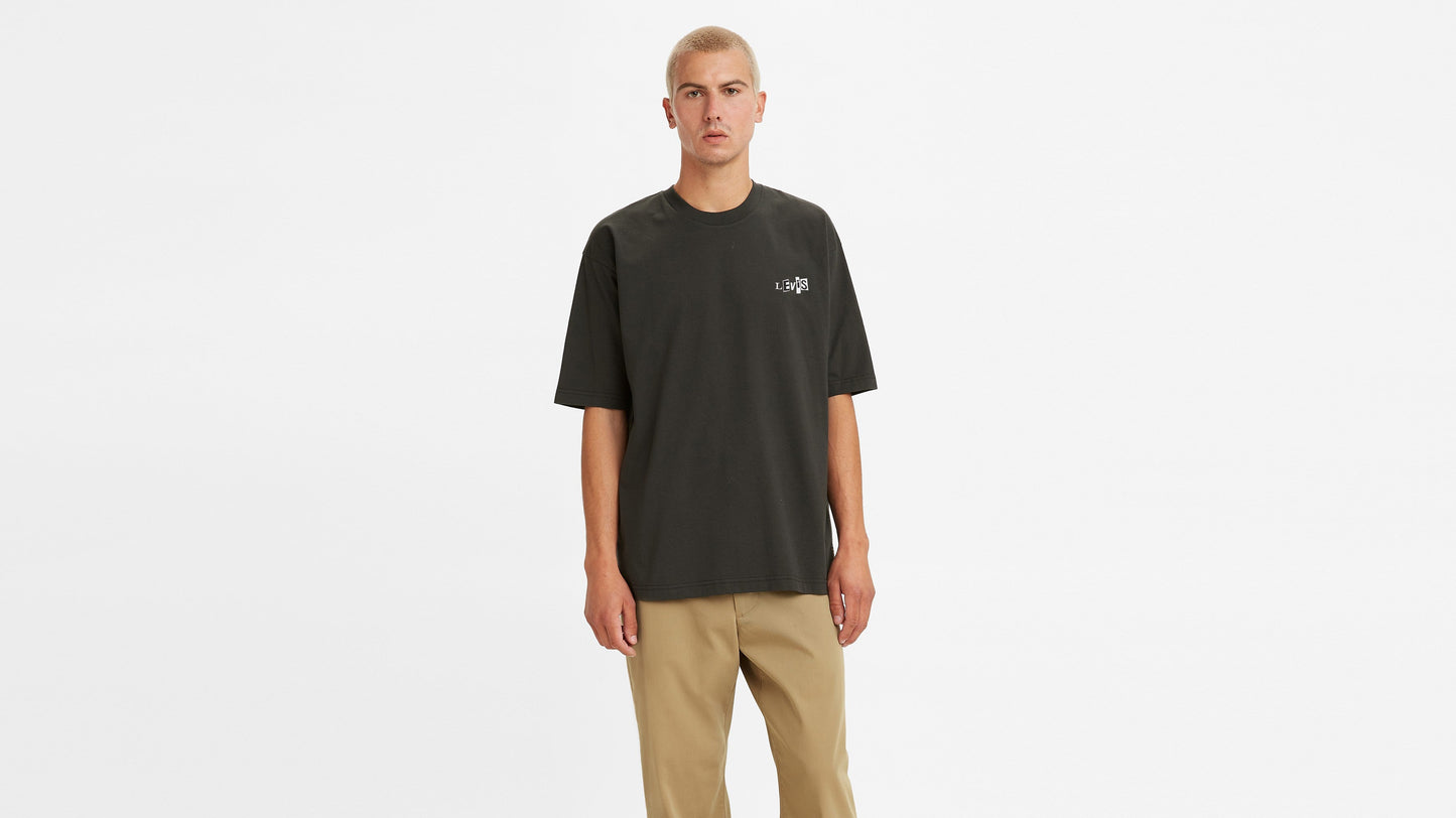 Levi's® Skate Men's Graphic Boxy T-Shirt
