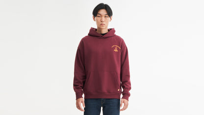 Levi's® Men's Authentic Hoodie