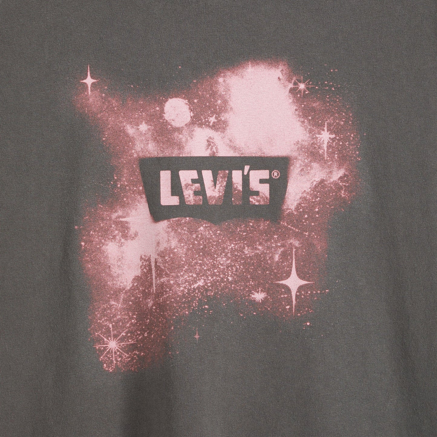 Levi's® Men's Graphic Vintage Fit T-Shirt