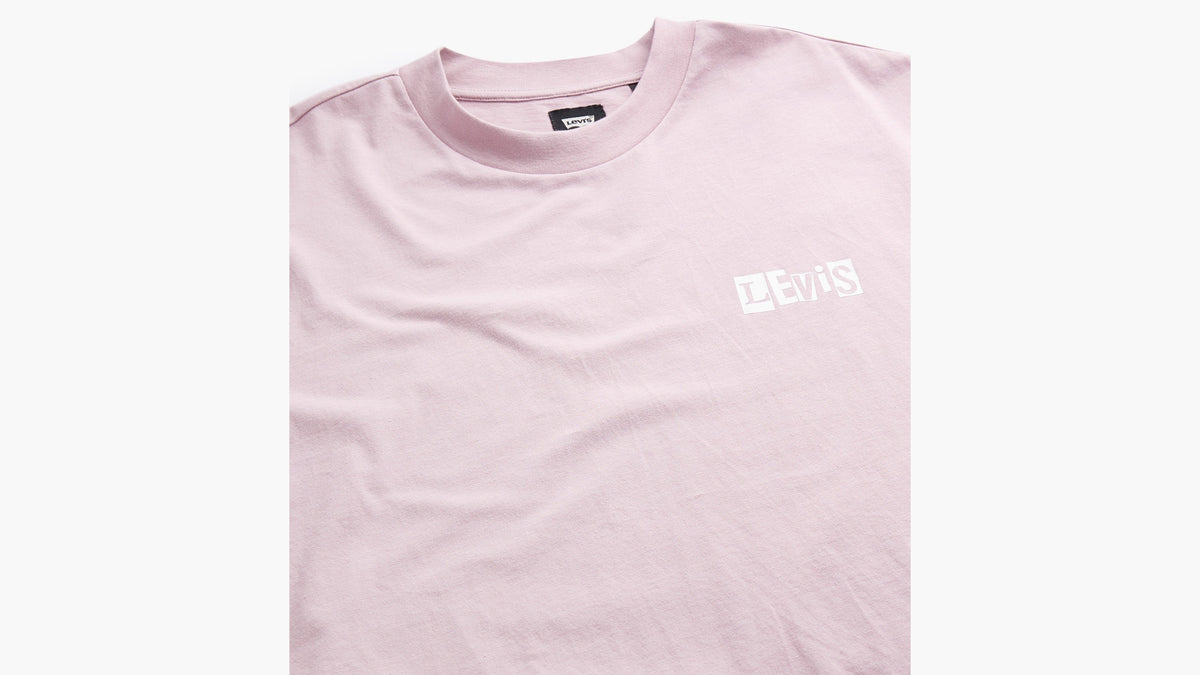 Levi's® Skate Men's Graphic Boxy T-Shirt