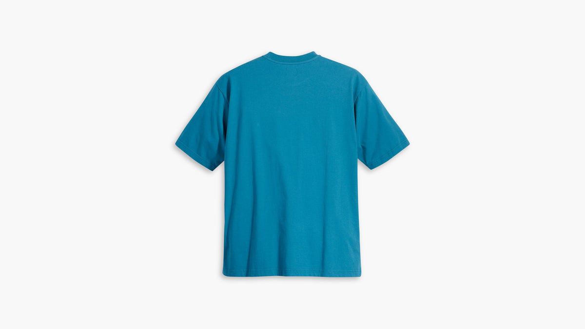 Levi's® Skate Men's Graphic Boxy T-Shirt