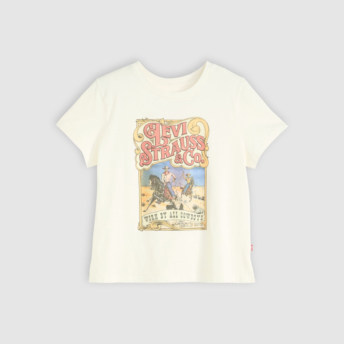 Levi's® Women's Graphic Boxy T-Shirt