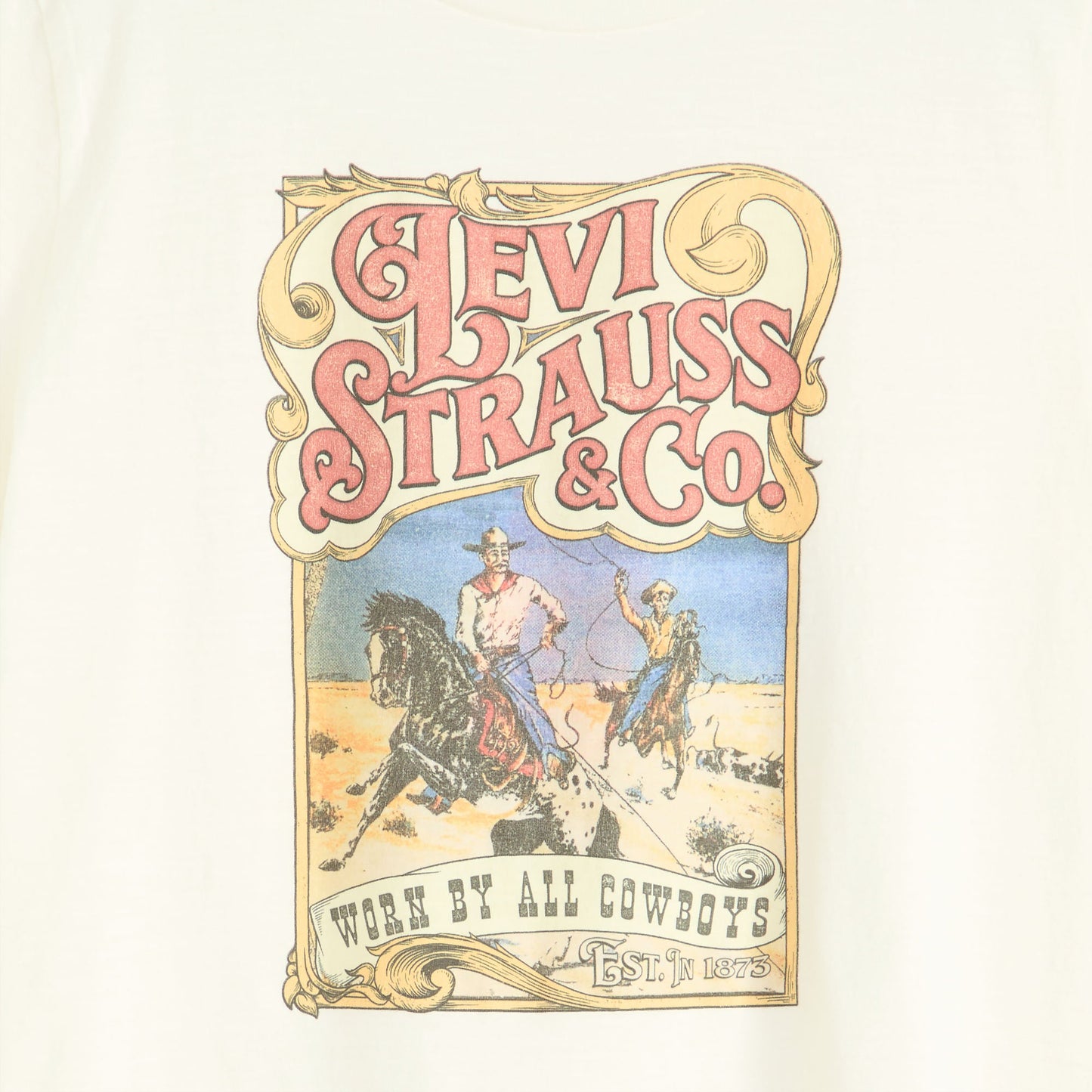 Levi's® Women's Graphic Boxy T-Shirt