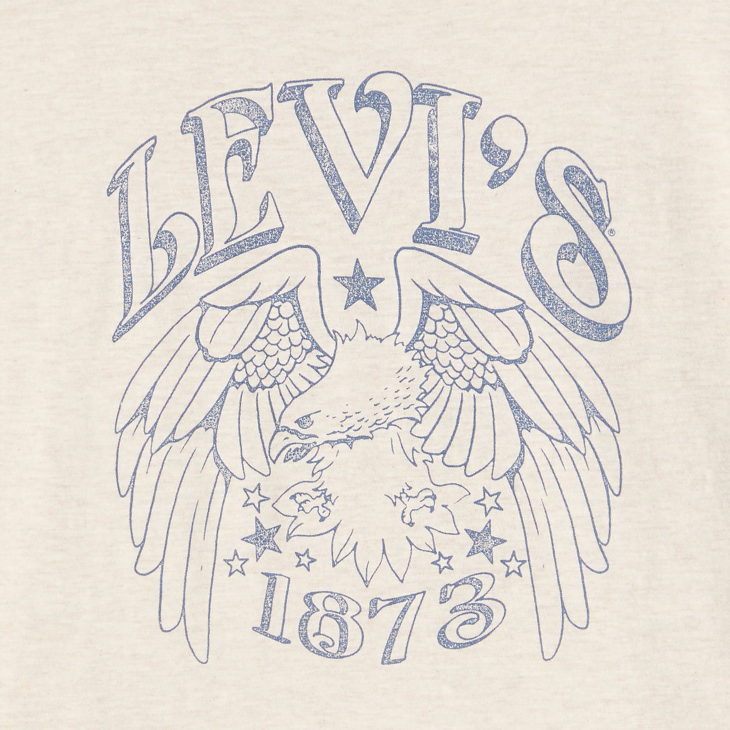 Levi's® Women's Graphic Boxy T-Shirt