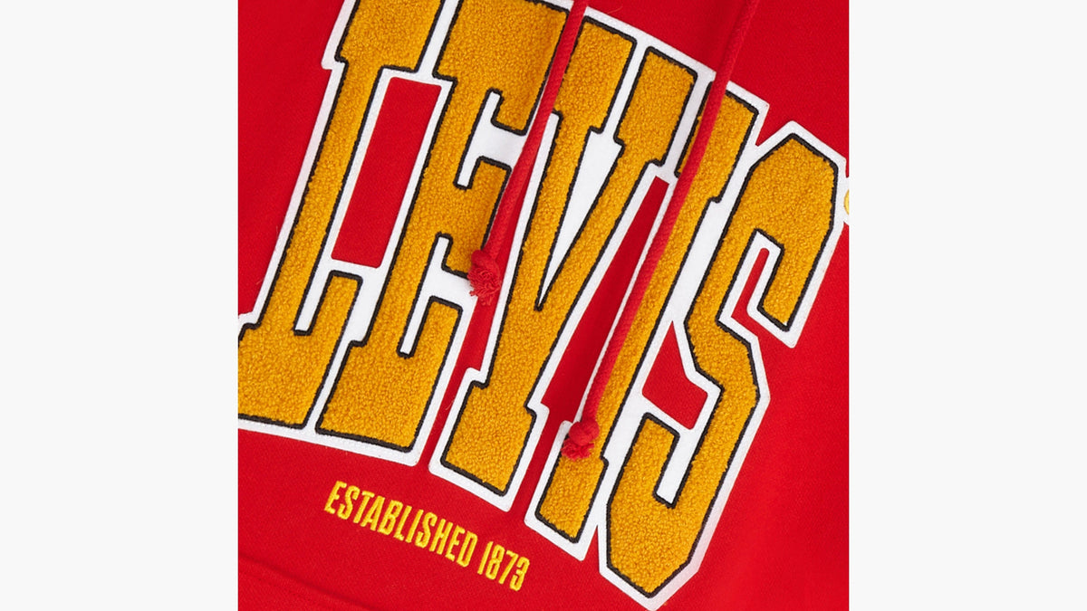 Levi's® Men's Graphic Relaxed Fit Hoodie